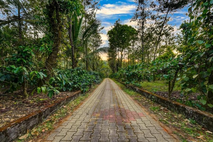 Coorg Bliss Estate Stay มาดิเครี ภายนอก รูปภาพ