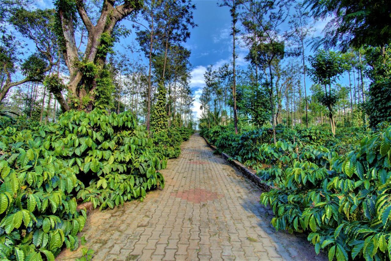 Coorg Bliss Estate Stay มาดิเครี ภายนอก รูปภาพ