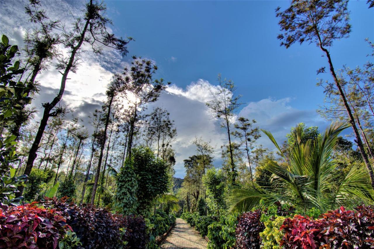 Coorg Bliss Estate Stay มาดิเครี ภายนอก รูปภาพ